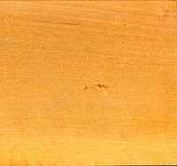 Holzhandlauf aus Birkenholz - Holzmuster